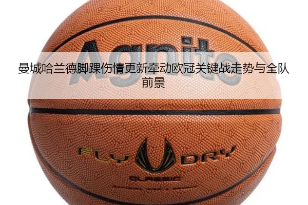 曼城哈兰德脚踝伤情更新牵动欧冠关键战走势与全队前景