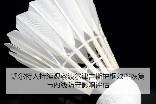 凯尔特人持续观察波尔津吉斯护框效率恢复与内线防守影响评估